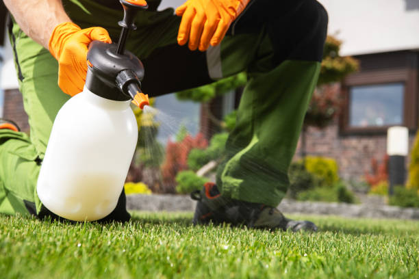 Best Commercial Pest Control Services  in Sutton Alpine, AK