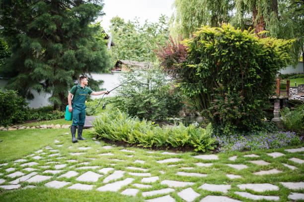Best Best Pest Control Companies  in Sutton Alpine, AK