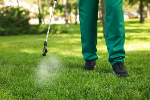 Best Affordable Pest Control Services  in Sutton Alpine, AK