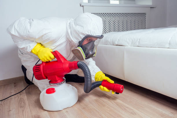 Best Affordable Pest Control Services  in Sutton Alpine, AK
