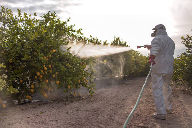 Best Pest Control Near Me  in Sutton Alpine, AK