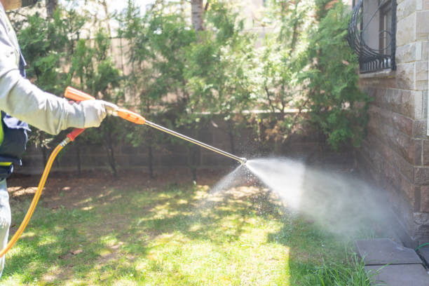 Flea Control Services in Sutton Alpine, AK