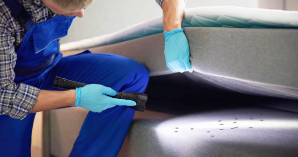Best Pest Inspection Near Me  in Sutton Alpine, AK