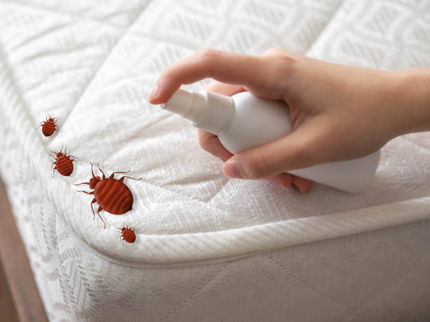 Reliable Sutton Alpine, AK Pest Control Solutions