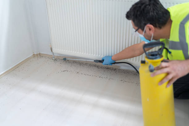 Best Flea Control Services  in Sutton Alpine, AK