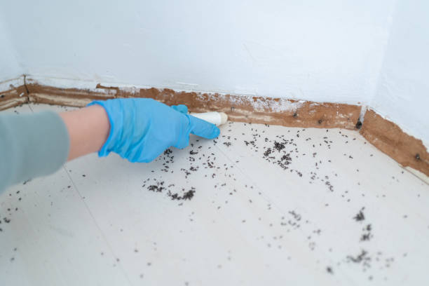 Best Pest Inspection Near Me  in Sutton Alpine, AK