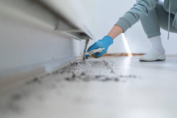 Best Pest Removal Services  in Sutton Alpine, AK